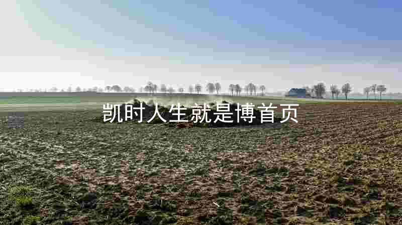 凯时人生就是博首页